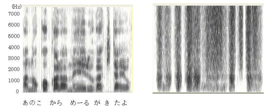 通常の声_声紋