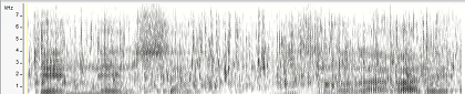 同時に再生_声紋