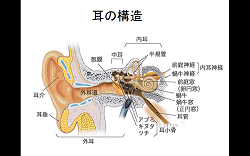 和光市講座