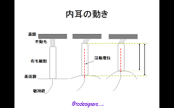 和光市講座